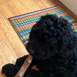 Meet your Posher, Freddie